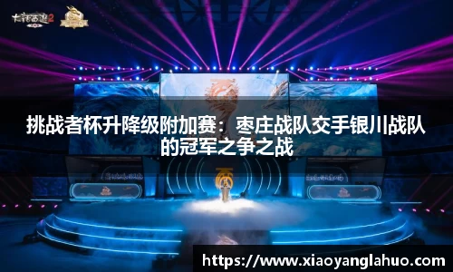 挑战者杯升降级附加赛：枣庄战队交手银川战队的冠军之争之战