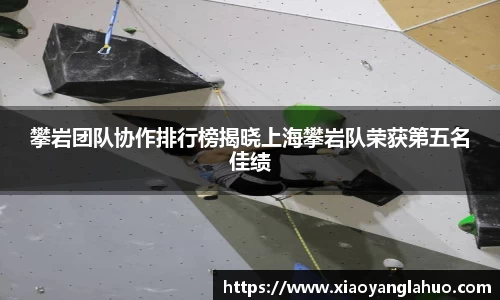 攀岩团队协作排行榜揭晓上海攀岩队荣获第五名佳绩